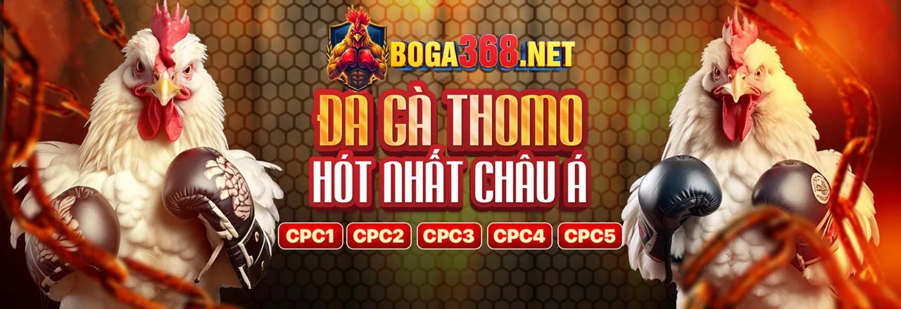 Giao diện đăng nhập HK79 Casino an toàn và chuyên nghiệp